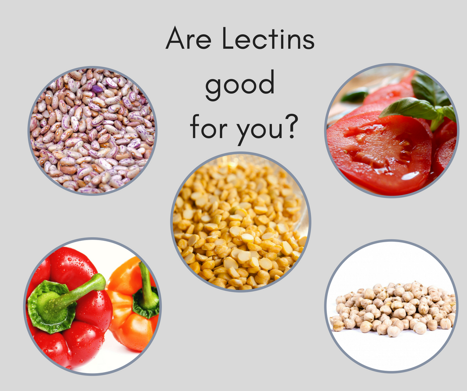 Lectins What are they? Love them or leave them? Four Seasons