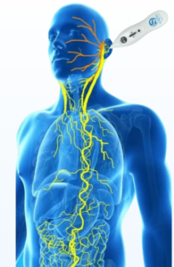 body with vagus nerve dolphin mps microcurrent device